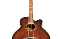 Ibanez-Acoustic-Bass