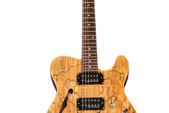 Surh-Telecaster-Hollow-Body-Humbucker