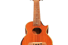 Ukulele